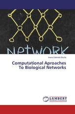 Computational Aproaches To Biological Networks