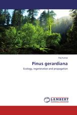 Pinus gerardiana