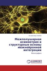 Межполушарная асимметрия и структурные основы межнейронной интеграции