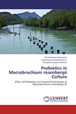 Probiotics in Macrobrachium rosenbergii Culture