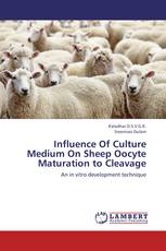 Influence Of Culture Medium On Sheep Oocyte Maturation to Cleavage