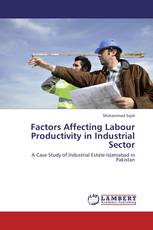 Factors Affecting Labour Productivity in Industrial Sector