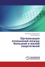 Организация отношений между большой и малой энергетикой