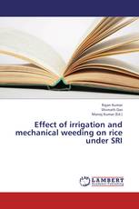 Effect of irrigation and mechanical weeding on rice under SRI