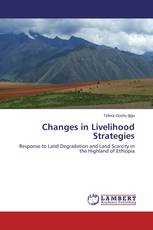 Changes in Livelihood Strategies