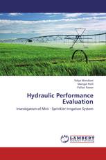 Hydraulic Performance Evaluation