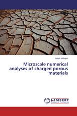 Microscale numerical analyses of charged porous materials