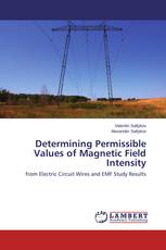 Determining Permissible Values of Magnetic Field Intensity