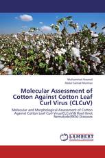 Molecular Assessment of Cotton Against Cotton Leaf Curl Virus (CLCuV)