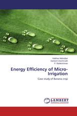Energy Efficiency of Micro-Irrigation