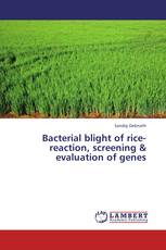 Bacterial blight of rice-reaction, screening & evaluation of genes