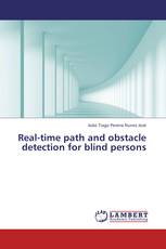 Real-time path and obstacle detection for blind persons