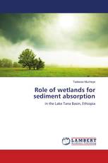 Role of wetlands for sediment absorption