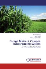 Forage Maize + Cowpea Intercropping System