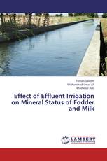 Effect of Effluent Irrigation on Mineral Status of Fodder and Milk