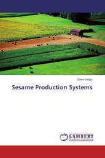 Sesame Production Systems