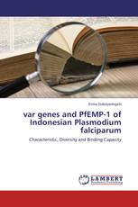 var genes and PfEMP-1 of Indonesian Plasmodium falciparum