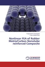 Nonlinear FEA of Rubber Matrix/Carbon Nanotube reinforced Composite