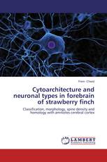 Cytoarchitecture and neuronal types in forebrain of strawberry finch