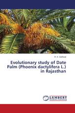 Evolutionary study of Date Palm (Phoenix dactylifera L.) in Rajasthan