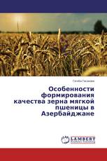 Особенности формирования качества зерна мягкой пшеницы в Азербайджане