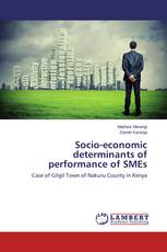 Socio-economic determinants of performance of SMEs