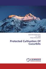 Protected Cultivation Of Cucurbits
