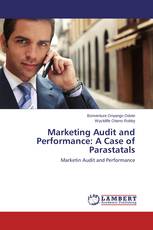 Marketing Audit and Performance: A Case of Parastatals