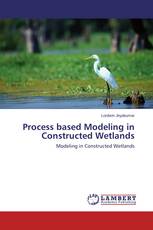 Process based Modeling in Constructed Wetlands