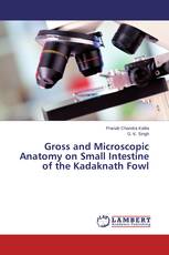 Gross and Microscopic Anatomy on Small Intestine of the Kadaknath Fowl