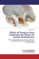 Effect of Fungi or Urea Treatment for Straw on Lambs Performance