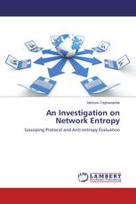 An Investigation on Network Entropy