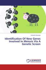 Identification Of New Genes Involved In Meiosis Via A Genetic Screen