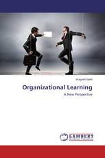 Organizational Learning
