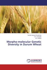 Morpho-molecular Genetic Diversity in Durum Wheat