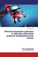 Реконструкция уретры и трахеи кролика живым эквивалентом кожи