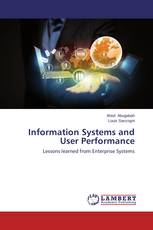 Information Systems and User Performance