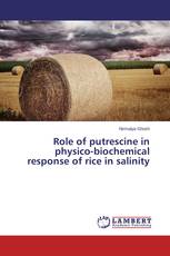 Role of putrescine in physico-biochemical response of rice in salinity