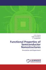 Functional Properties of Semiconductor Nanostructures