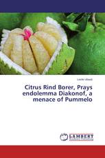 Citrus Rind Borer, Prays endolemma Diakonof, a menace of Pummelo
