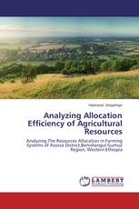 Analyzing Allocation Efficiency of Agricultural Resources