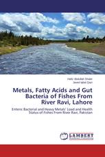 Metals, Fatty Acids and Gut Bacteria of Fishes From River Ravi, Lahore