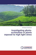 Investigating photo-acclimation in plants exposed to high light stress