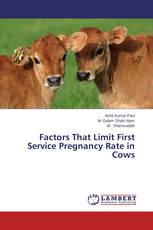 Factors That Limit First Service Pregnancy Rate in Cows