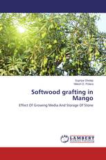 Softwood grafting in Mango