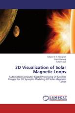 3D Visualization of Solar Magnetic Loops