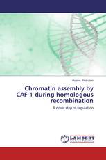 Chromatin assembly by CAF-1 during homologous recombination