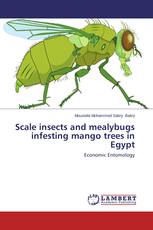 Scale insects and mealybugs infesting mango trees in Egypt