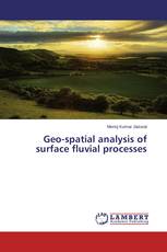 Geo-spatial analysis of surface fluvial processes