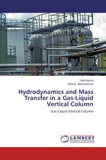 Hydrodynamics and Mass Transfer in a Gas-Liquid Vertical Column